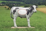 kuh_werbung